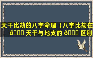 天干比劫的八字命理（八字比劫在 🍁 天干与地支的 🐋 区别）